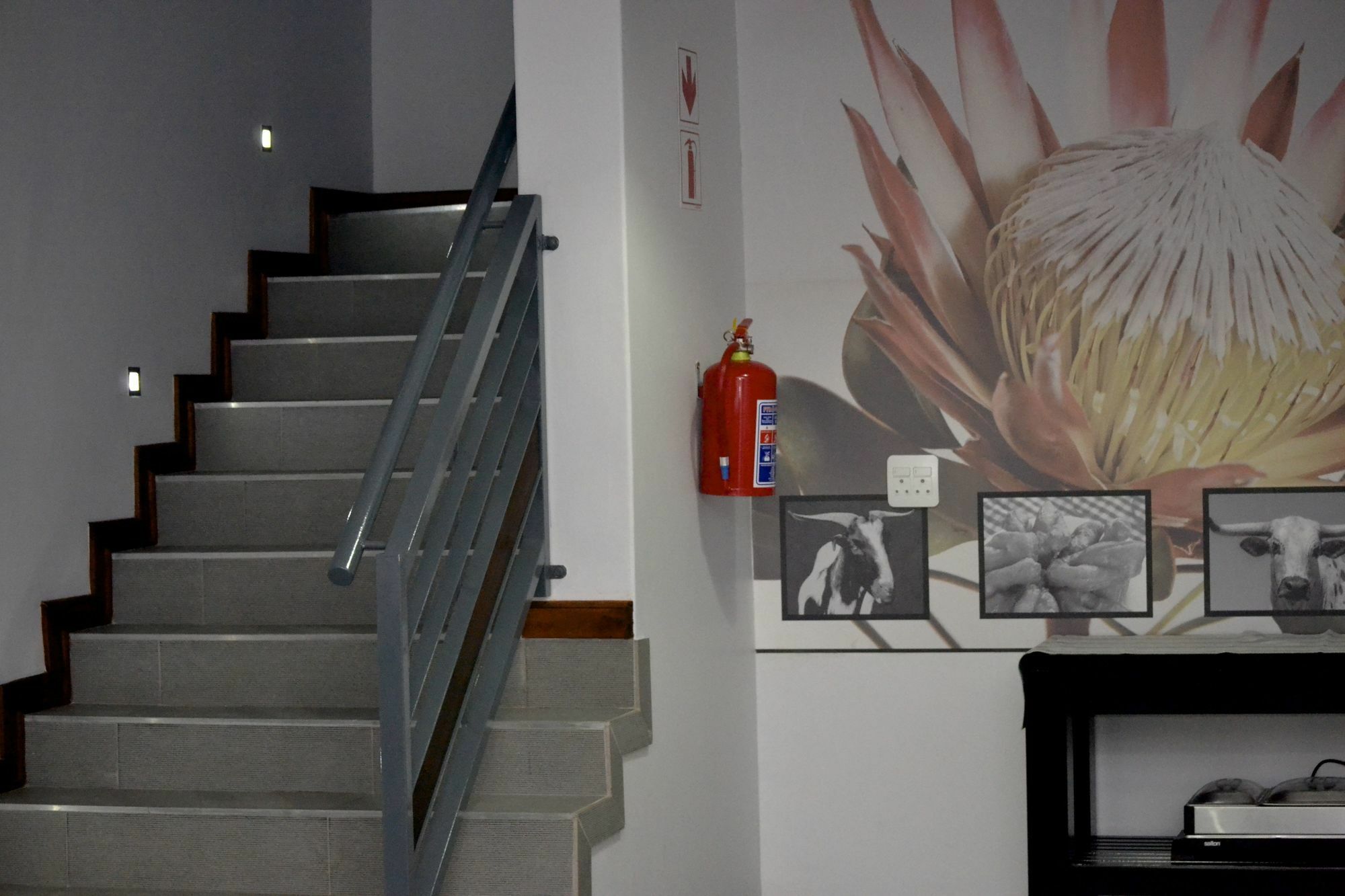 Yalla Yalla Boutique Hotel วิตแบงก์ ภายนอก รูปภาพ